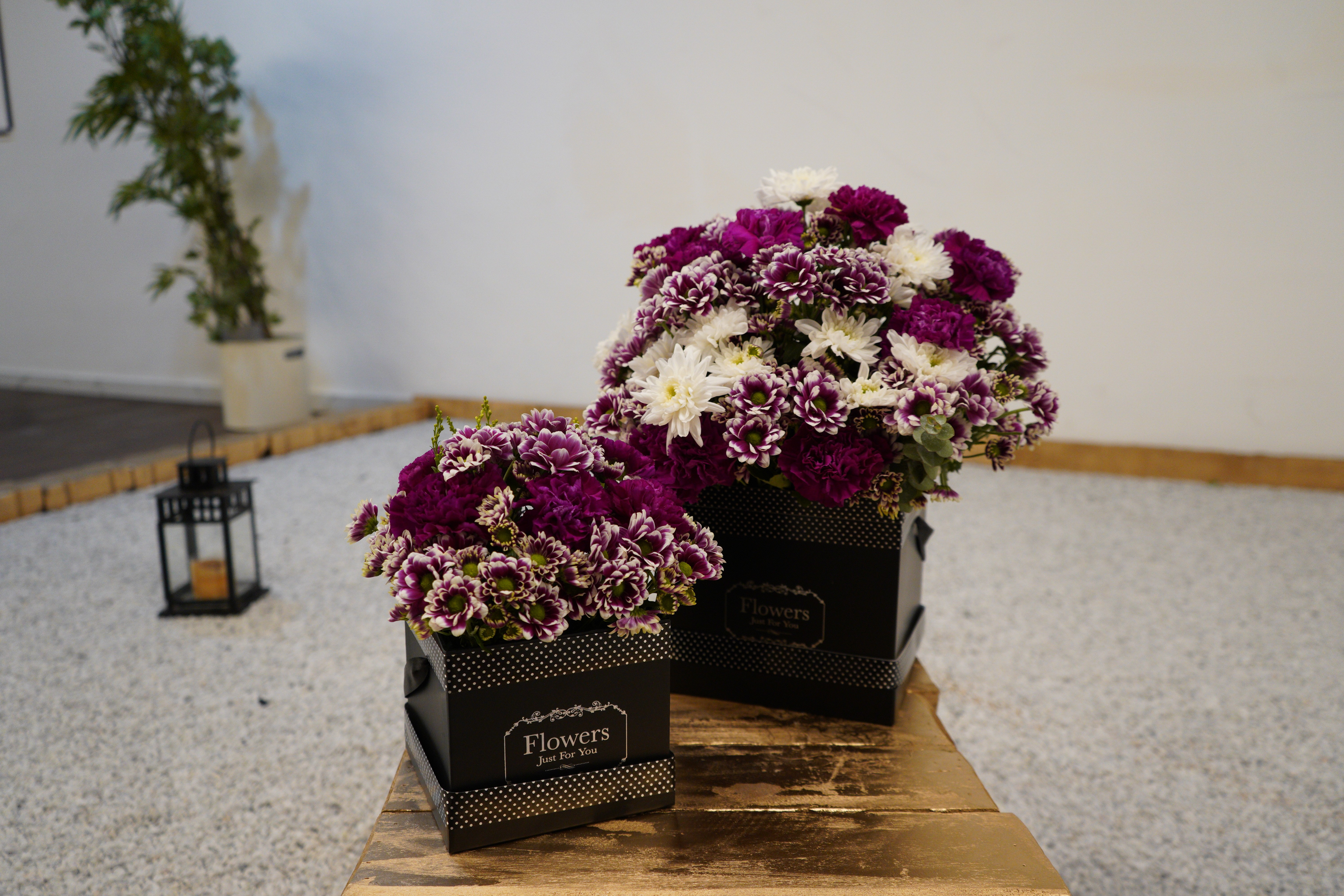 Purple and white flower arrangement in designer boxes